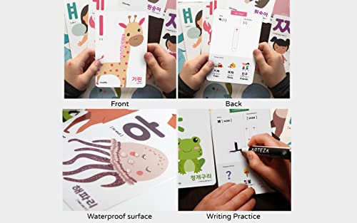 40 Korean Flash Cards – 4x6 Dry Erase Hangul Flashcards (Gift Box)