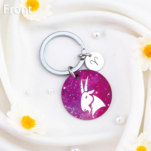 isiyu 12 Constellation Keychain Zodiac Astrology/Birthday For Women Men Adults Boys Girls Horoscope Lovers Gifts For Women - color: Color 2