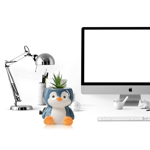 DIYOMR Cute Animals Planter, Mini Ceramic Cartoon Animal Shaped Succulent Flower Pot Indoor Air Plants Holder, Smooth Shiny Decorative Flower Cactus Planter - Plants Not Included (Penguin) - color: Penguin