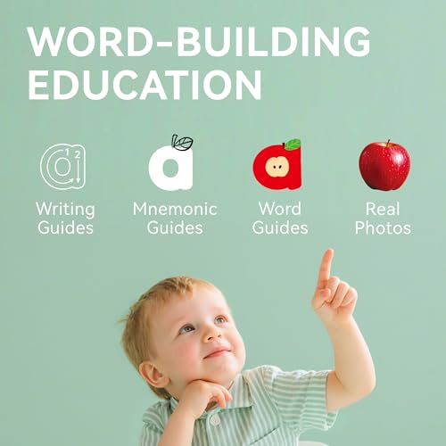 Dotimo Alphabet Picture Mnemonic Cards, 26 Uppercase & Lowercase Letter Learning Cards for Kids Letter Cognition, ABC Montessori Early Learning Tool for Toddlers, Classroom & Home Activity