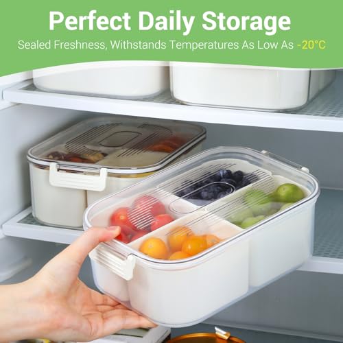 LUXEAR Small Snack Box Container 2 Pack, Dishwasher Safe&Freezer Safe - size: Small 2 Pack