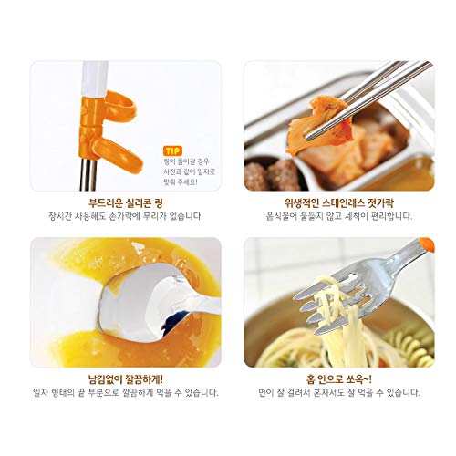 Lion Stainless Steel Chopsticks, Spoon, Fork and Case 4 Set, Chopsticks Training, Beginner, Brain Training, Right Handed (Lion, Hion), Made in Korea.