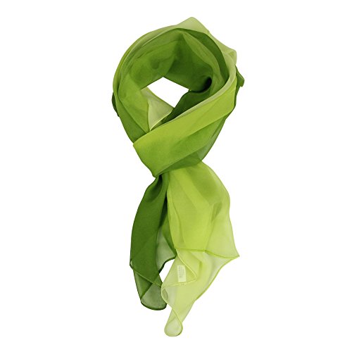 PANTONIGHT Long Chiffon Sheer Scarf Gradient Shaded Colors Lightweight Scarf For Womens - color: Color 091