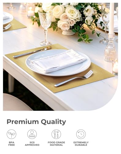 Leetaltree Gold Frame Placemats Set of 12 - Heat Resistant Woven Vinyl - color: C1- Gold Frame, size: Set of 12