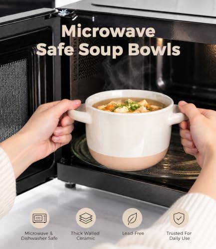 AmorArc 24 oz Soup Bowls with Lids, Ceramic Soup Containers with Handle - color: Beige&Gray, size: Set of 2