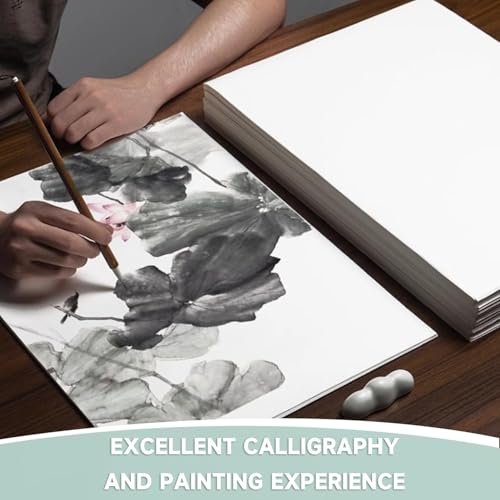 Mulberry Paper,200 Sheets Letter Size 8.5" x 11" Natural Fiber Rice Paper, Decoupage Decorative Tissue Paper for Writing Painting DIY Crafts Calligraphy Gift Wrap(LPMP_A-01) - color: LPMP_A-01 White