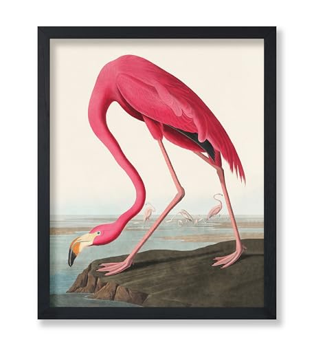 Poster Master Vintage American Flamingo Poster - Retro Pink Flamingo Print - Bird Art - Gift for Him, Her, Animal Lover - Perfect Decor for Living Room, Ocean or Beach House - 11x14 UNFRAMED Wall Art - color: Style-01, size: 11"L x 14"W