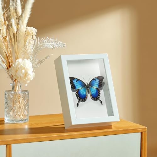 4x6 Small Shadow Box Picture Frame with Real Glass and Linen Back - color: White + Thickened Panel + Foam Packaging, size: 4x6