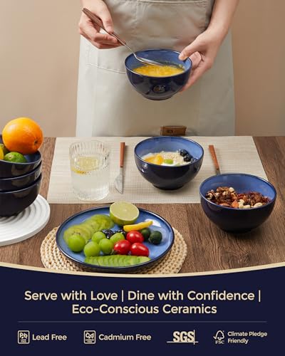 Pokini 5.5 inch Stoneware Cereal Bowls Set of 6, 22 Oz Soup Bowls Set - color: Light Blue