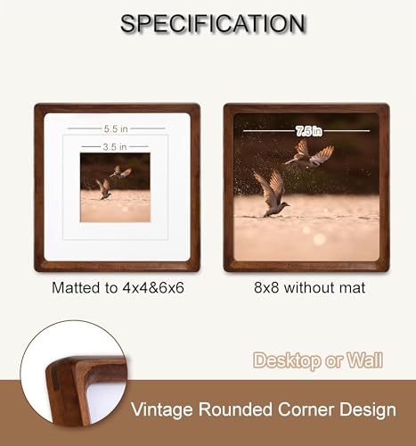 Square 8x8 Picture Frame, USA-Sourced Natural Walnut Wood with Real Glass, Handcrafted Rounded Corners, Matted to 6x6/4x4 Photos, Gallery Wall and Tabletop Display - color: Walnut, size: 8X8