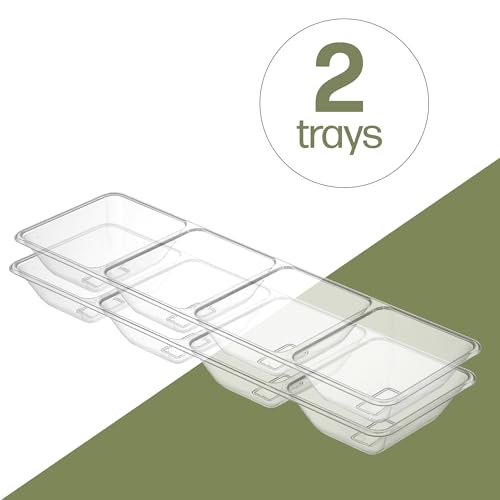 PLASTICPRO 4 Sectional Rectangle Plastic Disposable Serving Pack of 2 - color: Clear