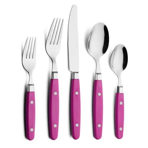 ANNOVA Silverware Set Stainless Steel Cutlery Color Handle With Rivet/Retro Flatware (Pink, 20 Pieces) - color: Hot Pink