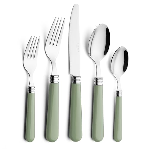 ANNOVA Silverware Set 20 Pieces Cutlery Stainless Steel Colorful Fun Handle Flatware Service for 4 - Dinner Knife, Dinner Fork, Salad fork, Dinner Spoon, Dessert Spoon (Sage Green, 20 Pieces) - color: Sage Green