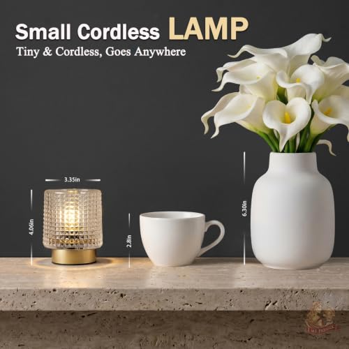 MJ PREMIER Battery Operated Lamp,Small Cordless Lamp with Timer, Clear-01 - color: Clear-01