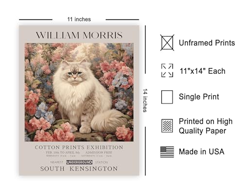 Poster Master Persian Cat Print - Flower & Animal Art - Botanical Exhibition Wall Design - Floral Cat Illustration - Aesthetic Office or Bedroom Decor - 11x14 UNFRAMED Wall Decor - color: Style-04, size: 11"L x 14"W