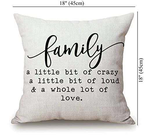 Solekla Family a Little Bit of Crazy Decorative Throw Pillow Covers, Farmhouse Quote Home Rustic Decorations, Christmas Inspirational Winter Cotton Linen Cushion Case Decors for Sofa Couch 18 × 18 - color: Sl214