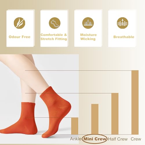 Women's Cotton Quarter Crew Socks - color: 06 Multicolor - 5 Pairs