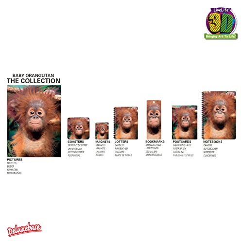 3D LiveLife Bookmark - Baby Orangutan Lenticular Page Marker - color: Baby Orangutan