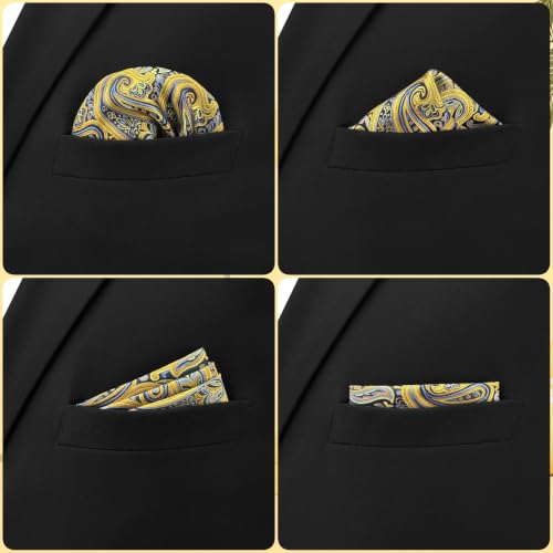 S&W SHLAX&WING Mens Pocket Square Paisley Multicolor Large for Business Wedding - color: Qh13