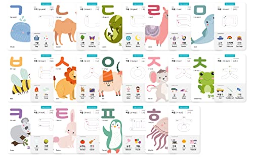 40 Korean Flashcards – 4x6 Dry Erase Hangul (Gift Box)