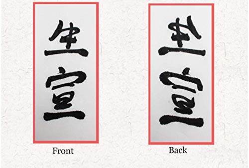 MEGREZ Raw Xuan Rice Paper Chinese Japanese Sumi Calligraphy Painting Sheet - size: 34 x 34 cm (13.4 x 13.4 inch)