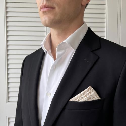 S&W SHLAX&WING Mens Pocket Square Paisley Multicolor Large for Business Wedding - color: Ah6