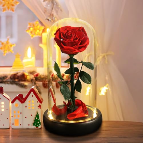 Mothers Day Roes Gifts,Gifts for Mom Flowers for Delivery Prime,Beauty and the Beast Rose in Glass Dome,Birthday Gifts for Women Her Mom Wife Girlfriend Grandma on Mother‘s Day Anniversary - color: Red Rose