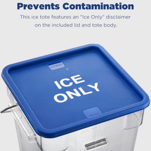 CURTA 2 Pack 5.5 Gal Square Ice Tote Set with Lids and 64 oz Scoops - color: 22.0 Qt 2-Pack(Blue Lids)