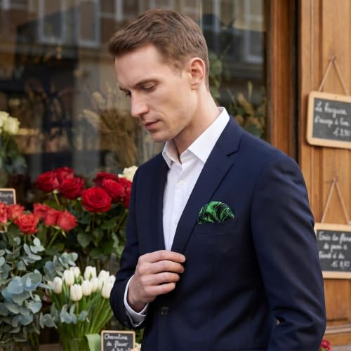 S&W SHLAX&WING Mens Pocket Square Paisley Multicolor Large for Business Wedding - color: Ph30