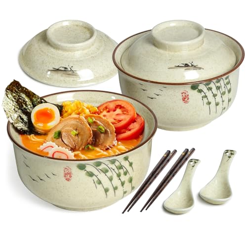Ceramic Ramen Bowl Set of 2, Ramen Noodle Bowl with Lid 27oz Japanese Retro Style Soup, Pho, Udon Bowls, Matching Spoons and Chopsticks for Microwave & Dishwasher Safe, Twig - color: Twig, size: 2 Pcs