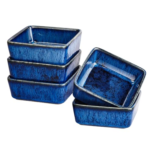 5 pack Ceramic Dipping Bowls 4 Inch Small Soy Sauce Dishes for Sushi Olive Oil Blue Appetizer Plates for Charcuterie Board Condiments Snacks