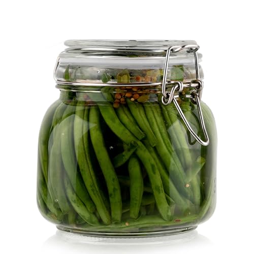 Glass Jar with Airtight Lid 24 oz - size: 24 oz