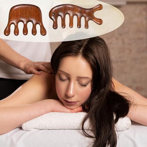 2 Pack Wooden Wide Tooth Hair Comb Head Massage Tool