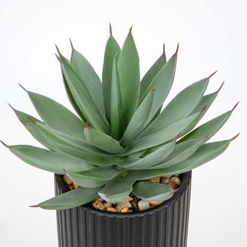 Briful Succulents Plants Artificial for Home Decor, Realistic Potted Fake Agave Plant, Black Ceramic Vase, Cute Aloe Maguey Faux Plant, Shelf Tables Decor, Modern Farmhouse Home Bathroom Decorations - color: Aloe-black Ceramic Pot