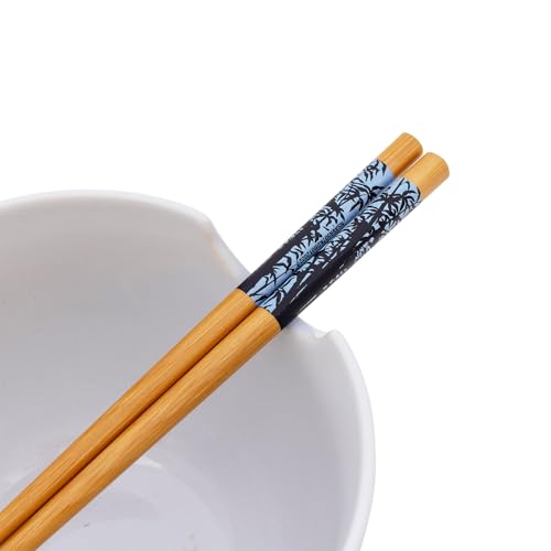 Silver Buffalo Avatar: The Last Airbender Aang and Appa Ceramic Ramen Dinnerware Set | Includes 20-Ounce Noodle Bowl and Wooden Chopsticks