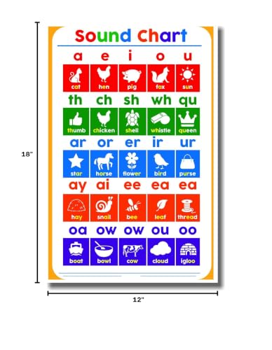 Phonics Sound Chart Elementary Classroom Spelling Reading 12"x18" US Made Poster