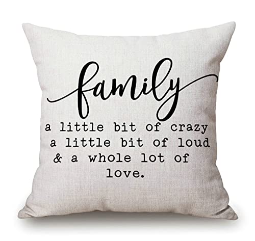 Solekla Family a Little Bit of Crazy Decorative Throw Pillow Covers, Farmhouse Quote Home Rustic Decorations, Christmas Inspirational Winter Cotton Linen Cushion Case Decors for Sofa Couch 18 × 18 - color: Sl214