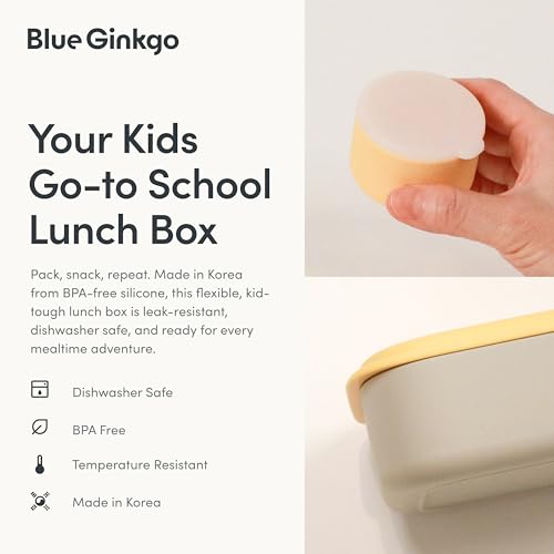 BLUE GINKGO Bento-Style Silicone Lunch Box Set, Grey, Made in Korea - color: Gray