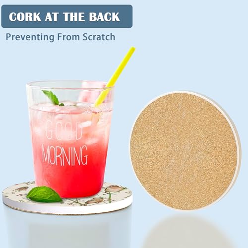 Coasters for Drinks,Vintage Birds and Butterflies Absorbent Coaster Set of 4 with Cork Base,Ceramic Drink Coasters for Cold Drinks Wine Glasses Cups Mugs,Housewarming Gifts for Home Decor - color: Birds and Butterflies