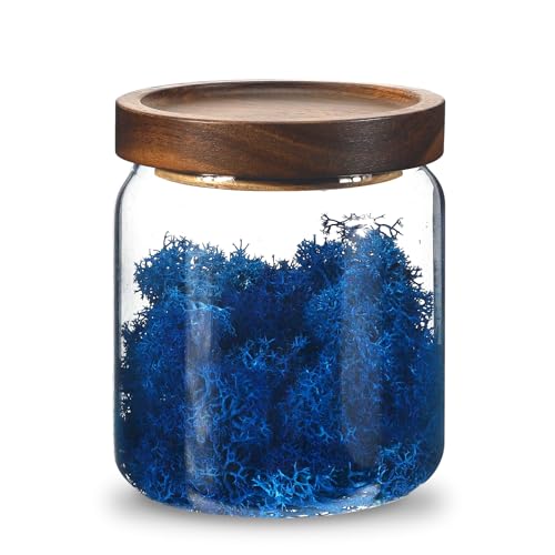 Glass Spice Jars Seasoning Containers Small Glass Jars with Lids Airtight Food Storage Canister for Kitchen Pantry Sugar Tea Coffee Bean Nuts Cookies Herbs Salt (473ml/16oz-1 pcs) - color: 473ml/16oz-1 pcs