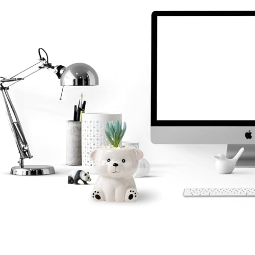 DIYOMR Cute Animals Planter, Mini Ceramic Cartoon Animal Shaped Succulent Flower Pot Indoor Air Plants Holder, Smooth Shiny Decorative Flower Cactus Planter - Plants Not Included (White Bear) - color: White Bear