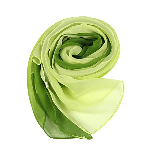 PANTONIGHT Long Chiffon Sheer Scarf Gradient Shaded Colors Lightweight Scarf For Womens - color: Color 091