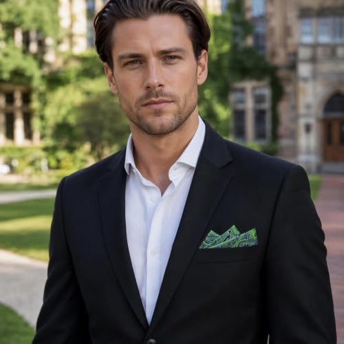 S&W SHLAX&WING Mens Pocket Square Paisley Multicolor Large for Business Wedding - color: Ah48
