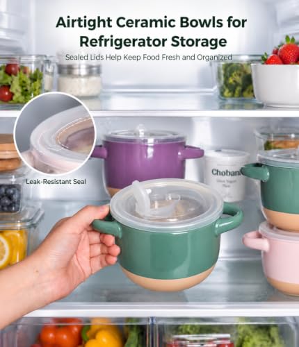 AmorArc 24 oz Soup Bowls with Lids, Ceramic Soup Containers with Handle - color: Green&Purple, size: Set of 2