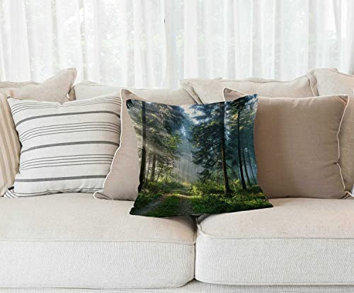 Solekla Misty Forest Pillow Covers 18x18 Farmhouse Decorative Sunshine Trees Throw Pillow Covers for Patio Furniture and Couch - color: Sl215