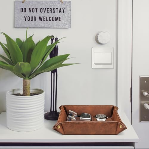 SITHON Valet Tray Desktop Storage Organizer Nightstand Caddy Holder - color: Brown