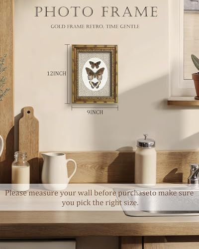 Vodefoad Vintage Butterfly Gold Framed Wall Art, Retro Neutral Butterfly Canvas Art Prints Painting, Bedroom Bathroom Shelf Retro Butterfies Illustration Room Decor, Antique Moth Insect Wall Art Picture, Farmhouse Framed Wall Decor butterfies Drawing for