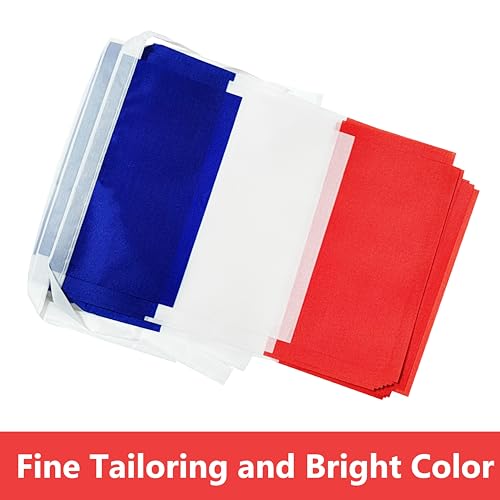 100 Feet France String Flag, 76 Pcs French Banner Flag, Small Mini World Banner Flags for Sports Events, Bars Decorations, School Festivals, Party Decorations, Celebrations (France) - color: France