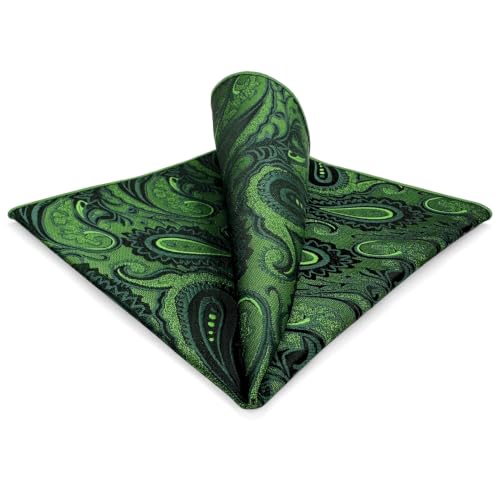 S&W SHLAX&WING Mens Pocket Square Paisley Multicolor Large for Business Wedding - color: Ph30