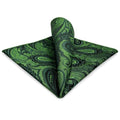S&W SHLAX&WING Mens Pocket Square Paisley Multicolor Large for Business Wedding - color: Ph30